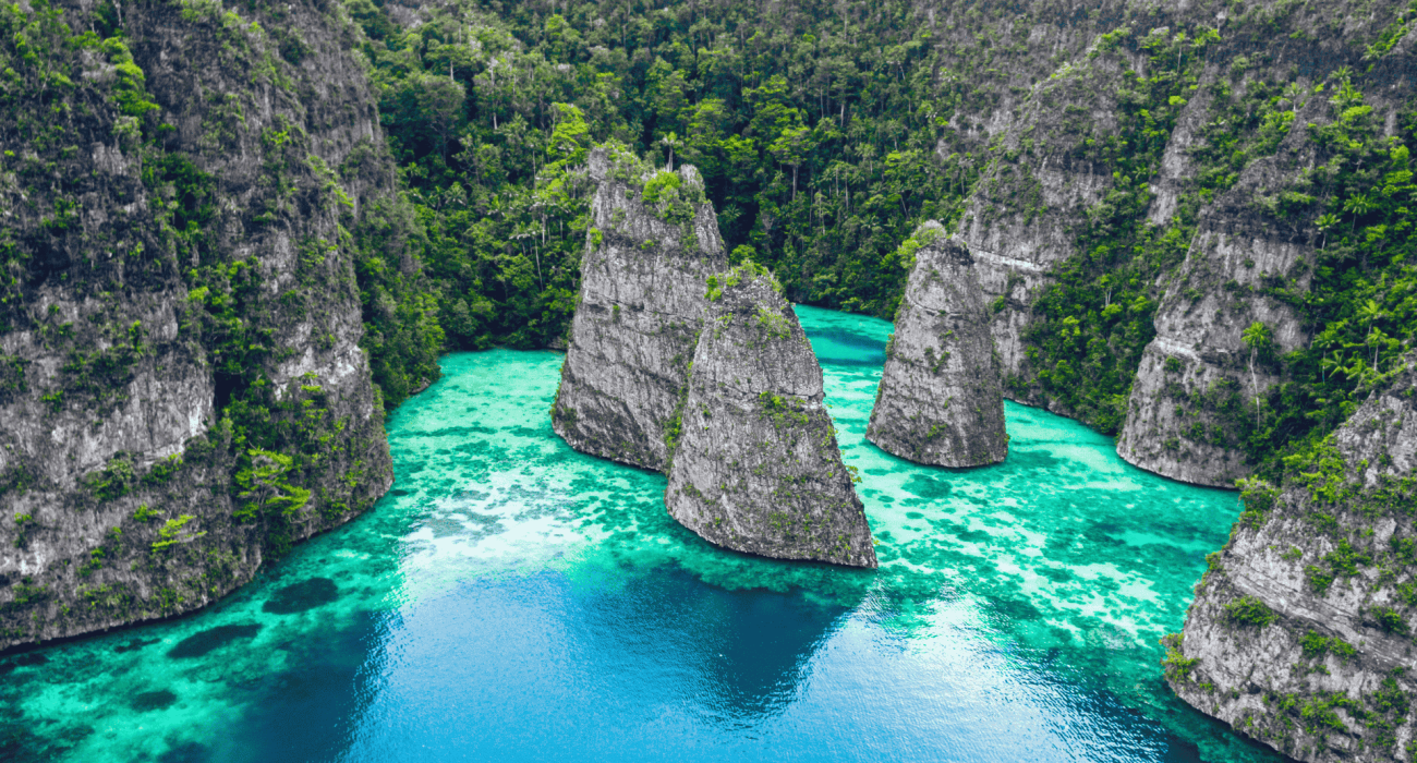 Fakta Menarik Tentang Raja Ampat Sebagai Destinasi Terbaik di Papua Barat Daya